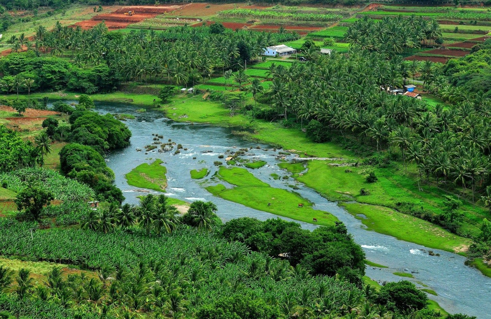 attapadi is one of the best tourist places in India