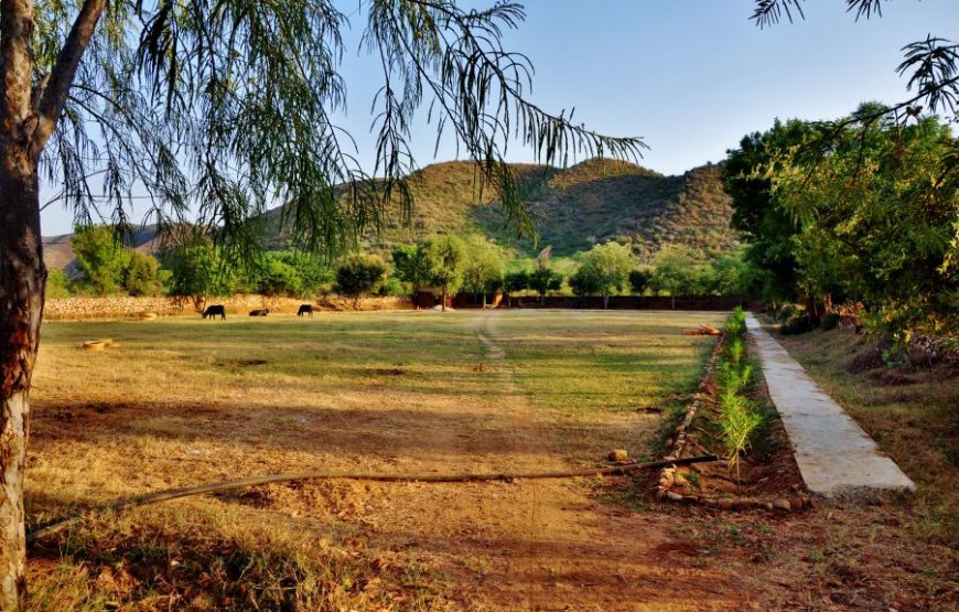 Beautiful view of aravali hills adventure camp