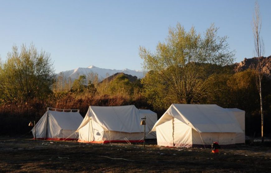 camping in leh ladakh