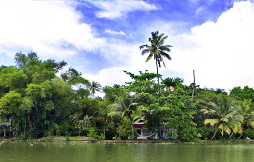 a beautiful view of Alleppey Homestay Backwaters with clear sky