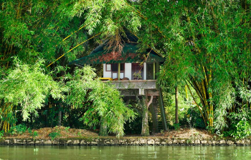 A Tree house of backwater stay in alleppey