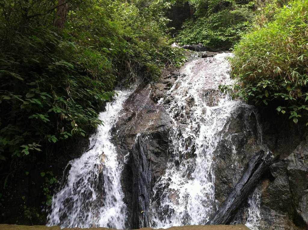 Waterfall near attapadi forest stay