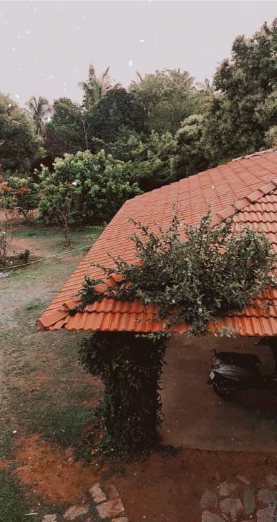 Farm stay in Bangalore